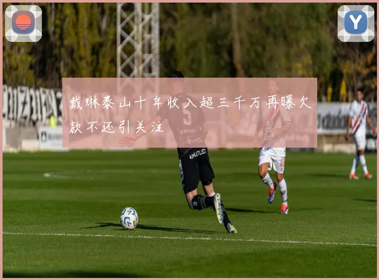 戴琳泰山十年收入超三千万再曝欠款不还引关注