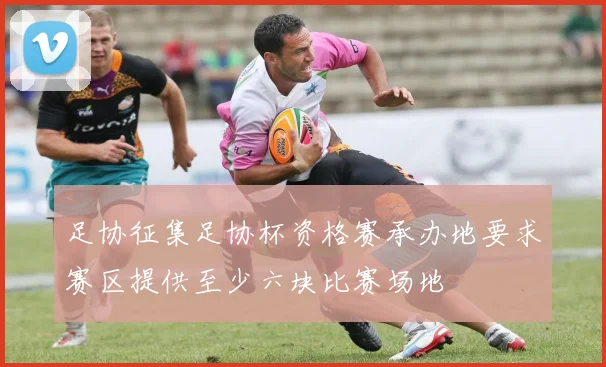 足协征集足协杯资格赛承办地要求赛区提供至少六块比赛场地