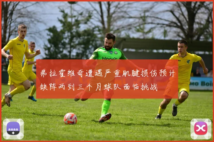 弗拉霍维奇遭遇严重肌腱损伤预计缺阵两到三个月球队面临挑战