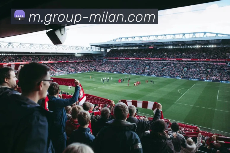 多媒体互动体验