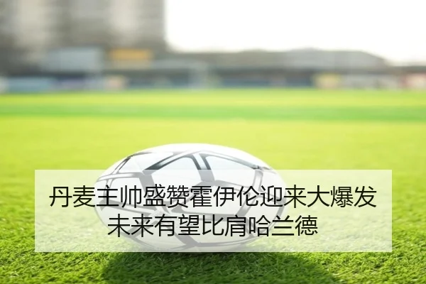 丹麦主帅盛赞霍伊伦迎来大爆发 未来有望比肩哈兰德 - milan